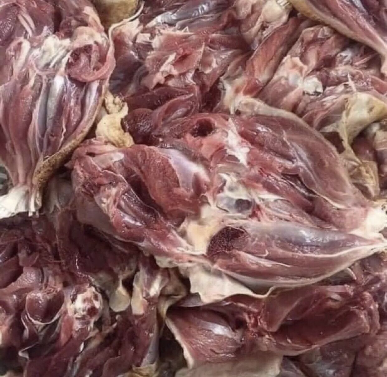 1kg thịt đùi gà tây lọc xương