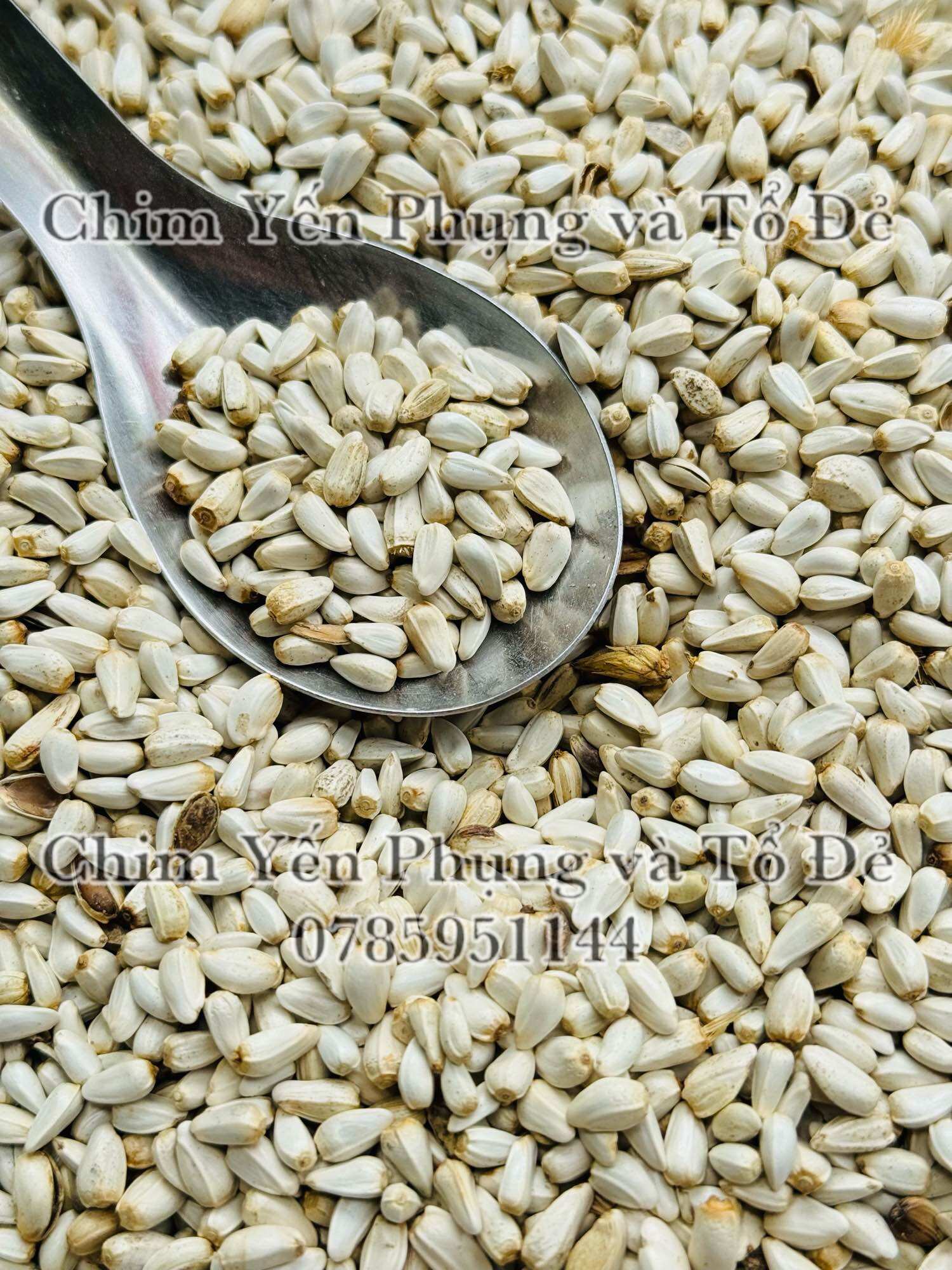 500g hạt kham trắng (Safflower Seed) cho thú cưng.