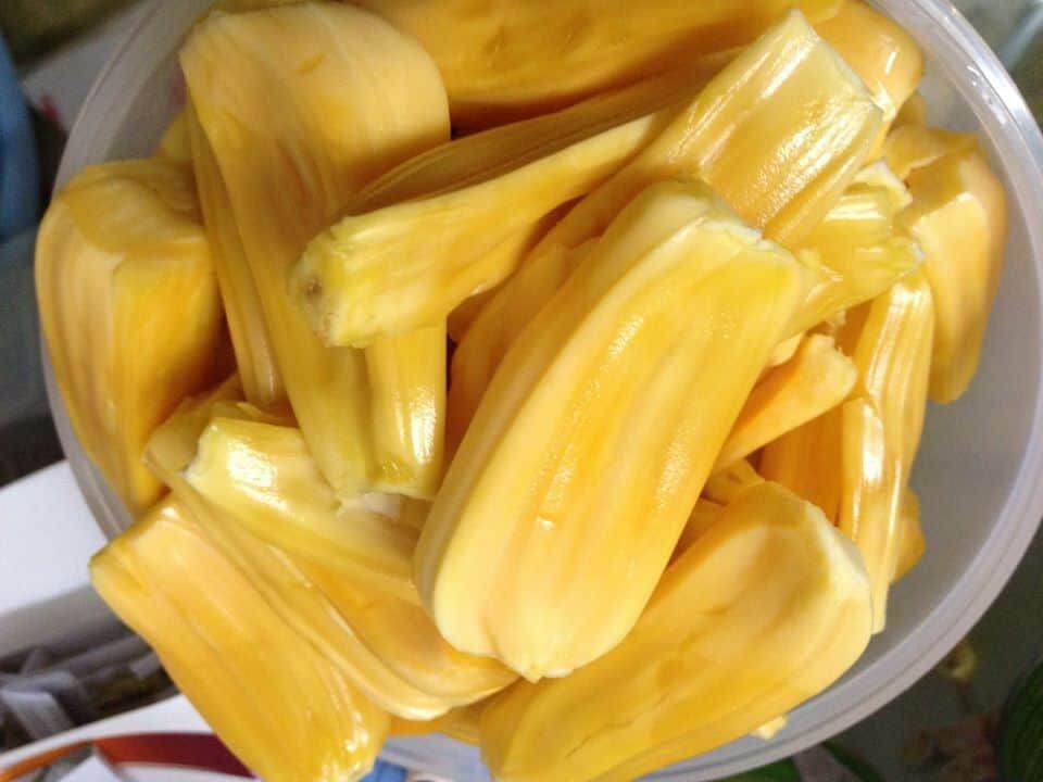 GIỐNG CÂY MÍT THÁI GHÉP