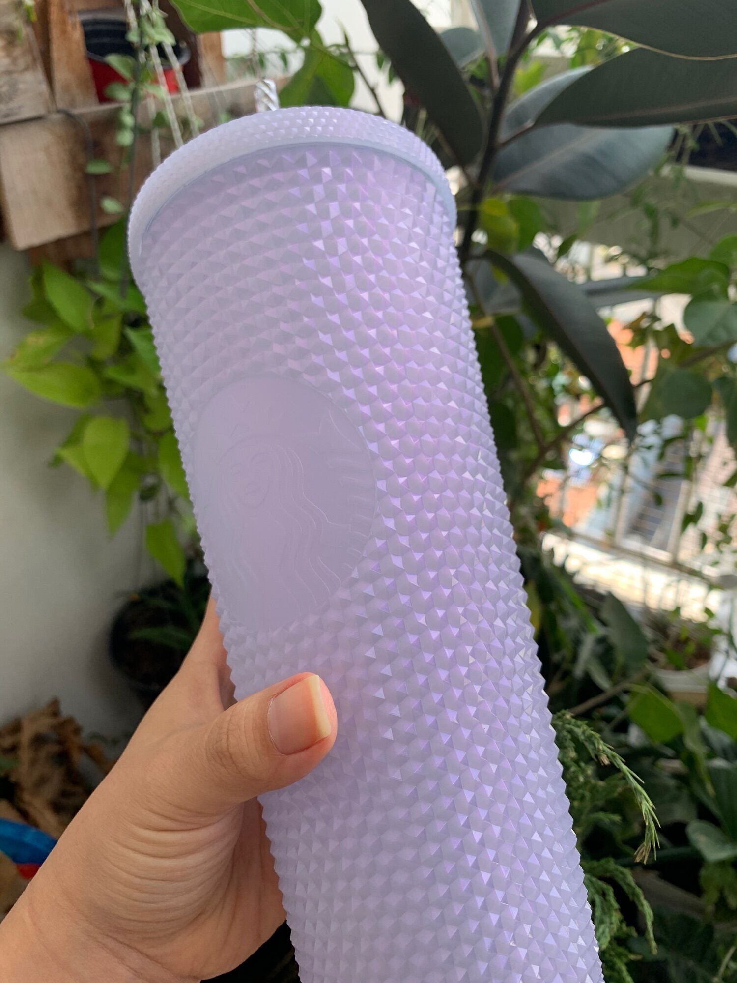 PASS LY PLASTIC COLD CUP 24OZ (709ML) ICY BLING