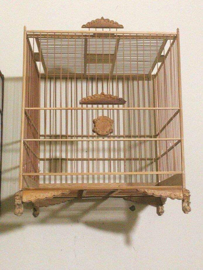 Khung lồng chim tự ráp