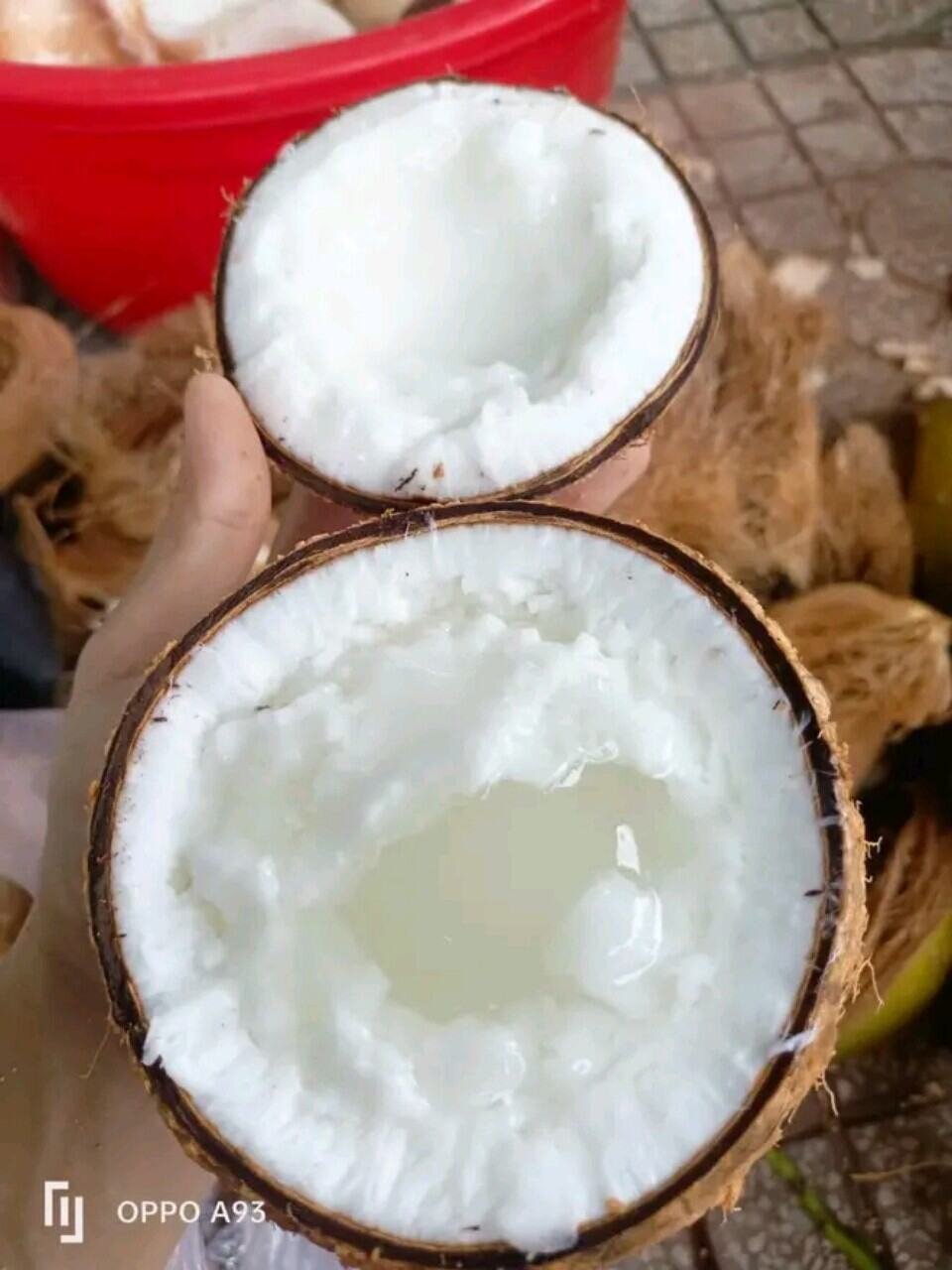 Dừa sáp bi loại ngon