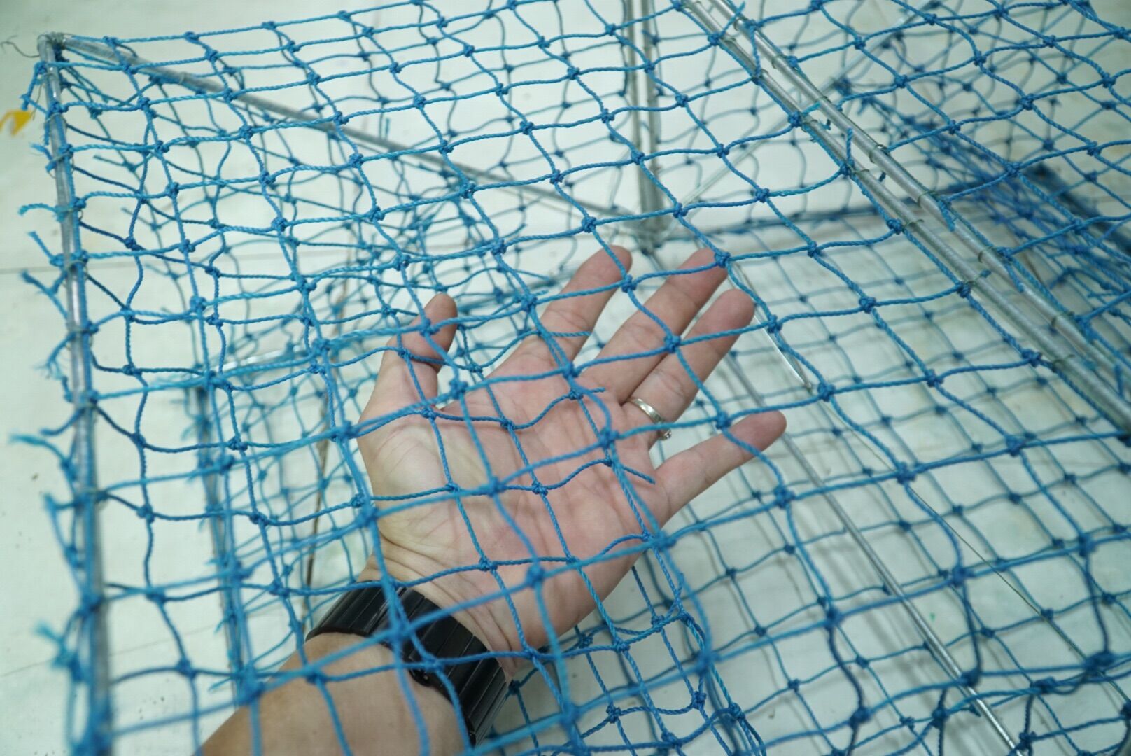 Lồng Rập Bẫy Cua Ghẹ LƯỚI CÀO BIỂN THÁI LAN 🇹🇭🦀