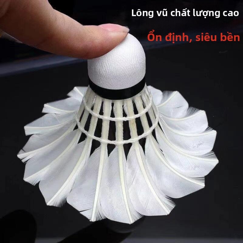 LIKE | Durable Feather Shuttlecock Professional Competition Use - Thương hiệu LIKE Giá 464,000 Đồng*Miễn phí vận chuyển