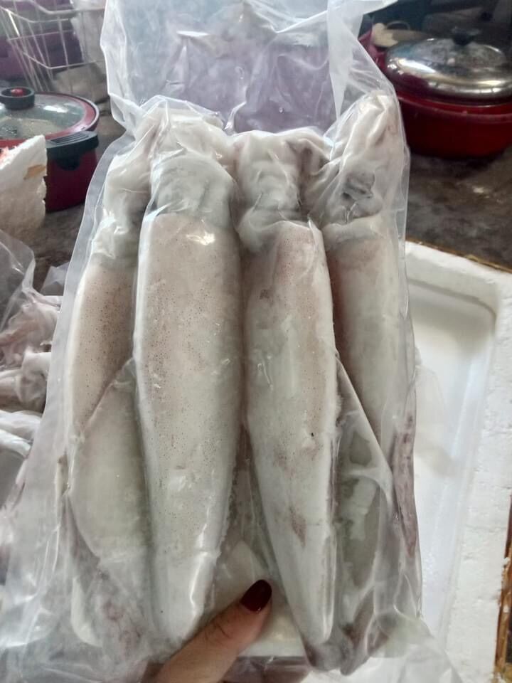 Mực thước Hạ Long