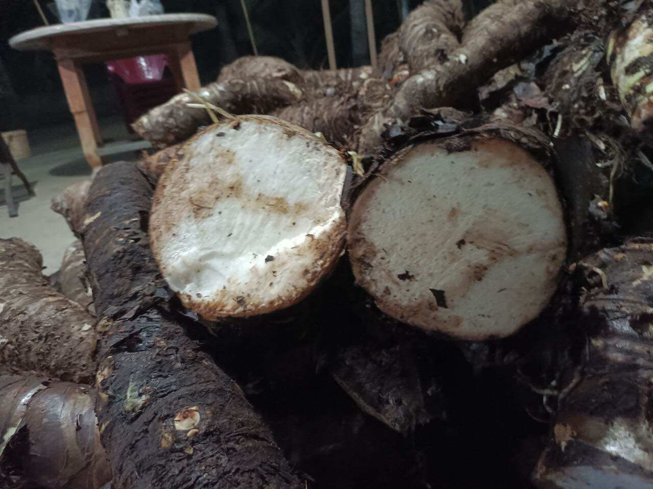 Củ bạc hà núi hàng tuyển 1kg