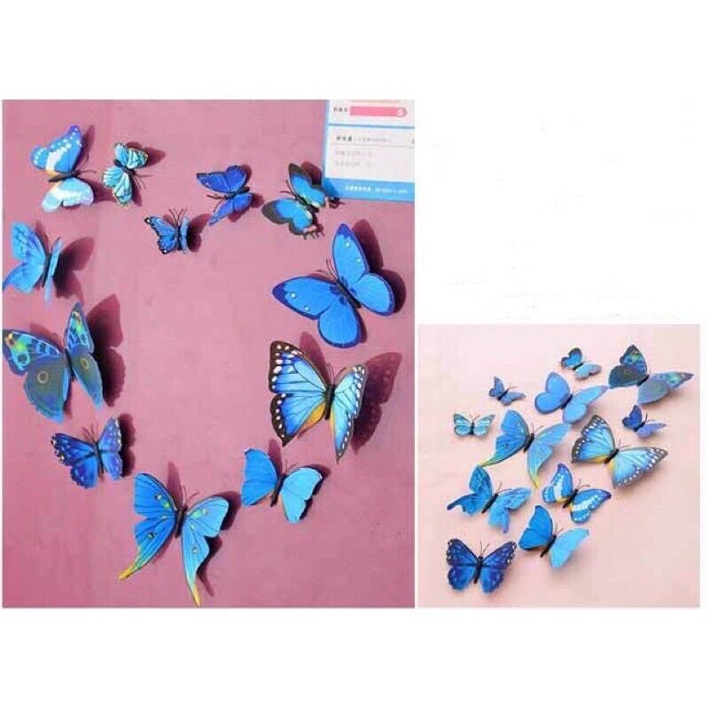 Bướm 3D trang trí