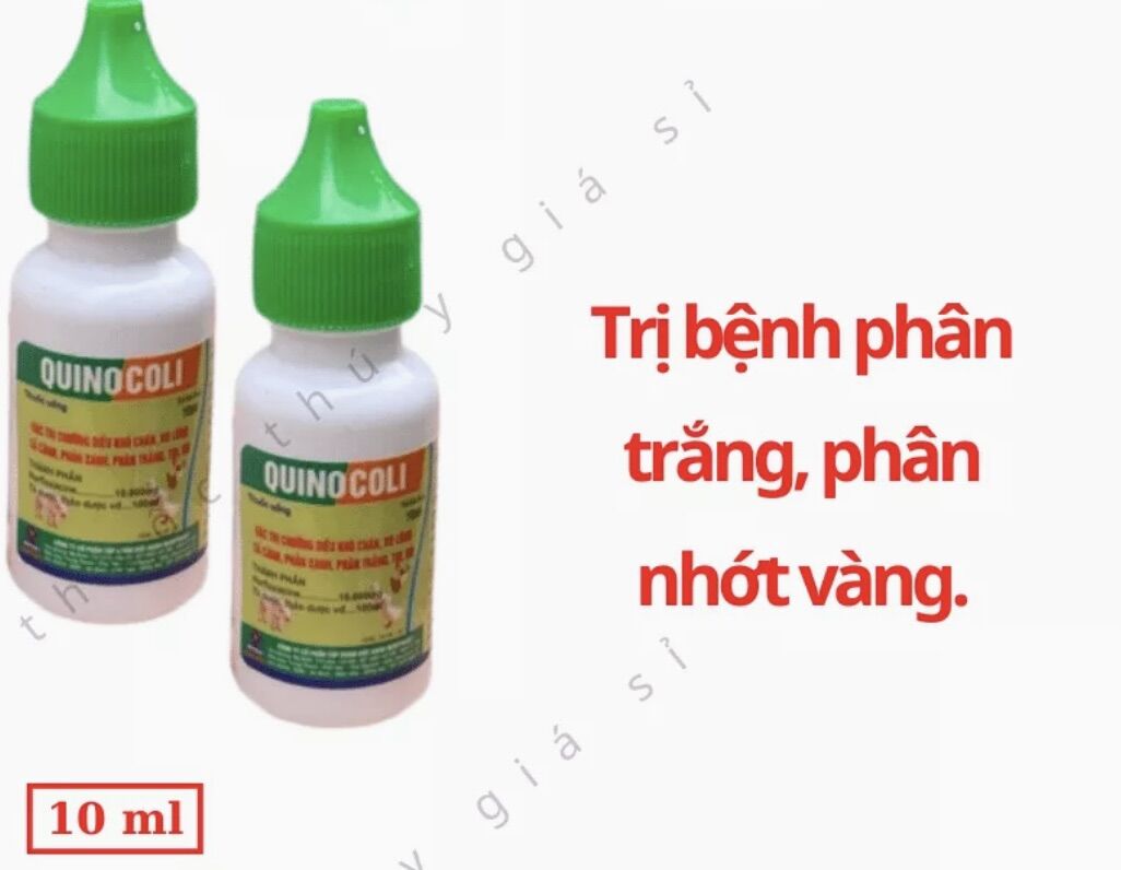 1 lọ Quinocoli 10 ml dùng cho gà vịt heo con thỏ.