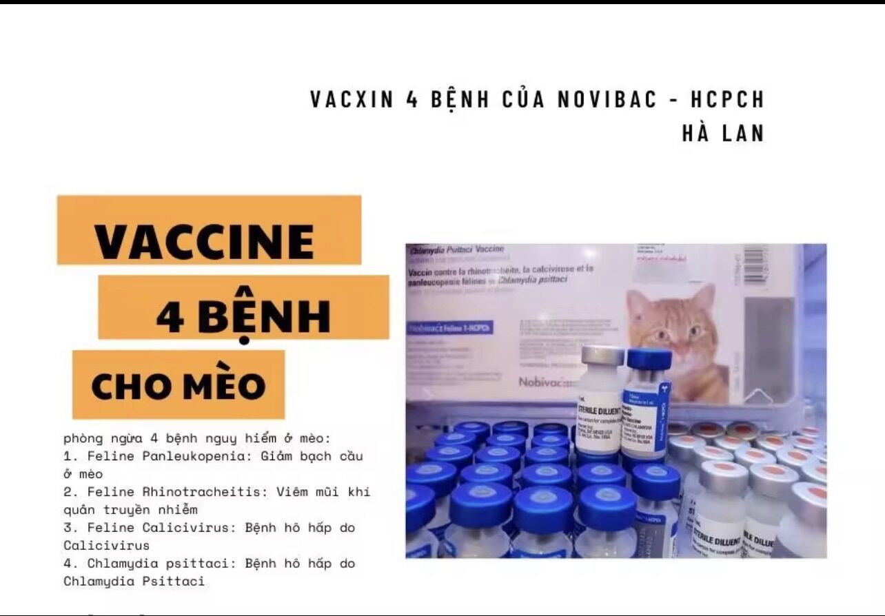 Vacxin nobivac ngừa 4 bệnh trên mèo tặng kèm kim tiêm và sổ tiêm phòng