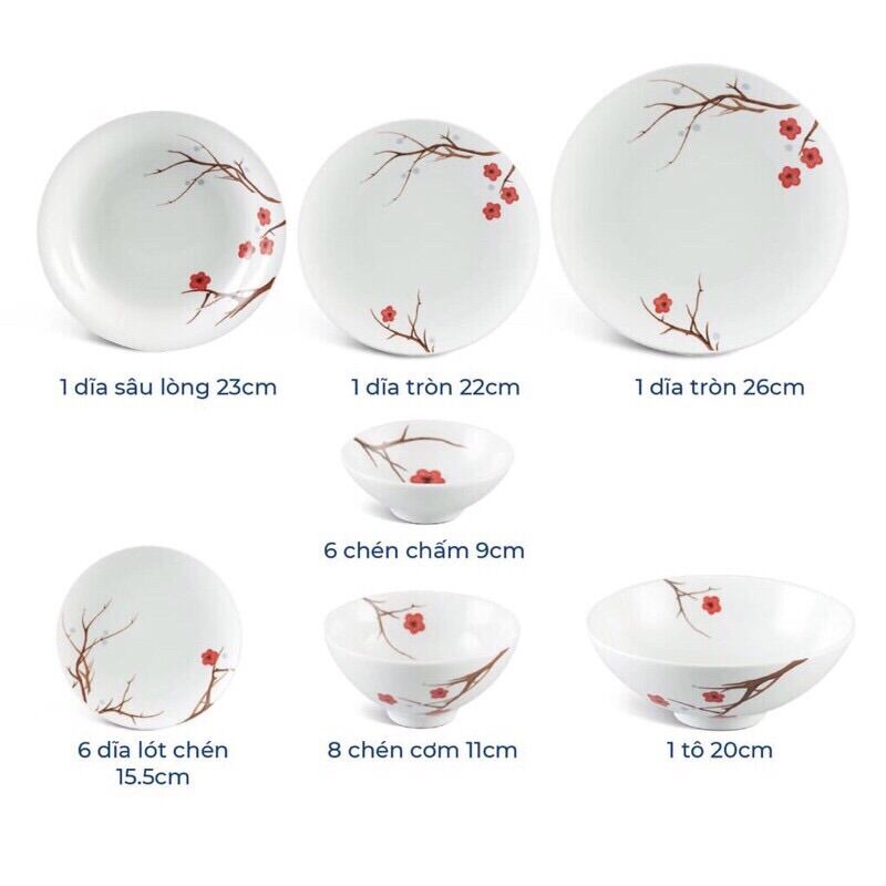 CHÉN CHẤM 9 CM SỨ MINH LONG - DAISY HỒNG MAI