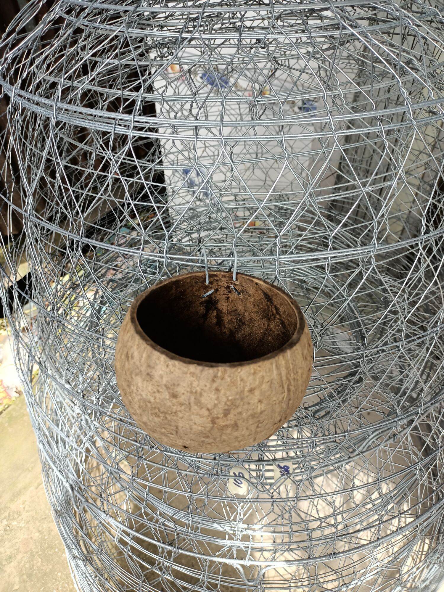 gáo dừa cho gà, chim đựng thức ăn, nước uống