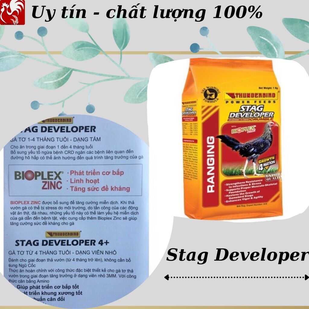 Stag Developer Thunderbird - Cám gà con từ 1 - 4 tháng