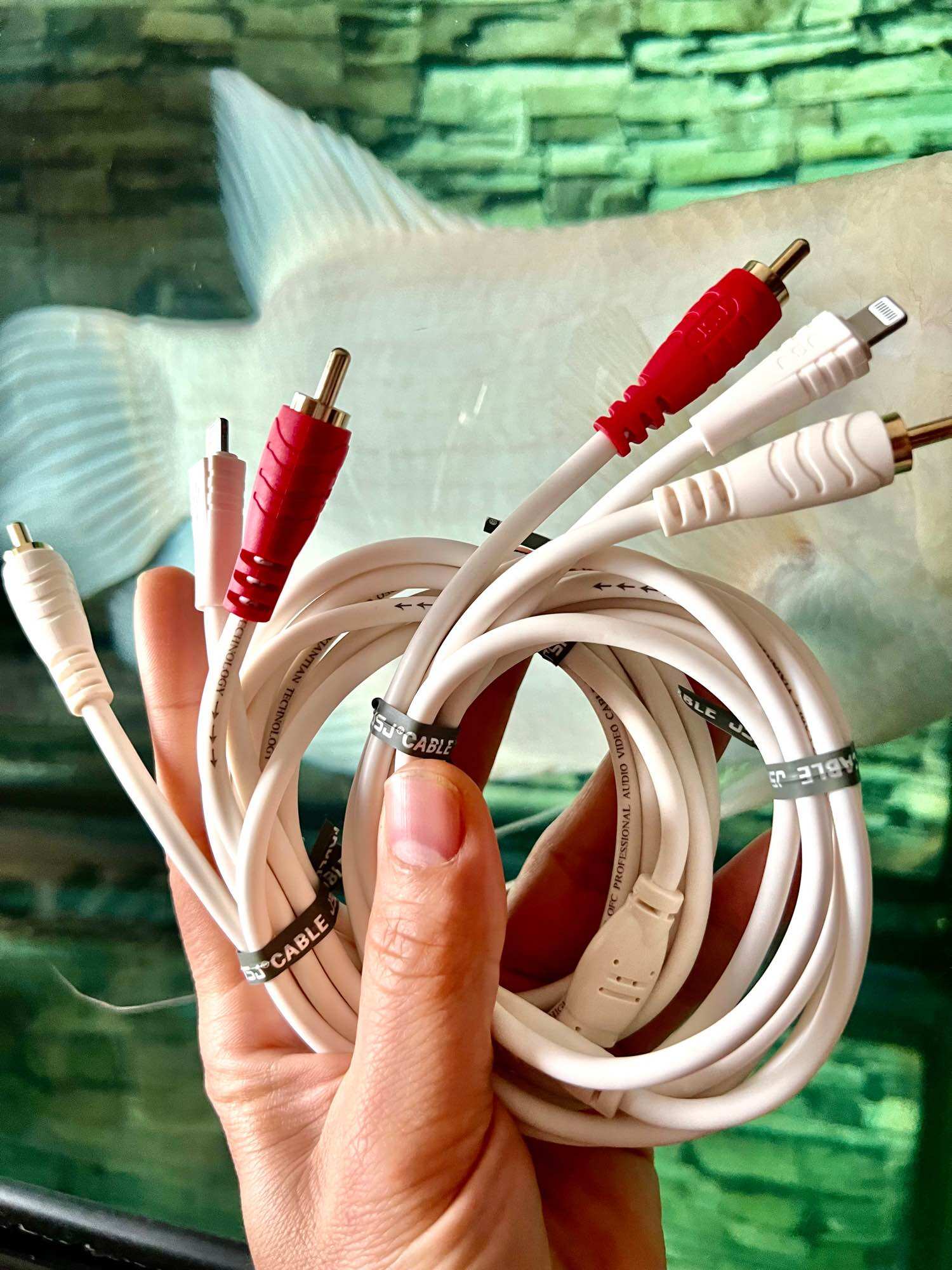 Rắc chuyển đổi từ iPhone sang đầu loa