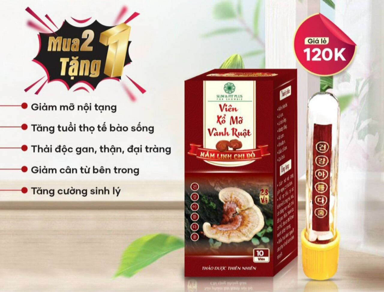 XỔ MỠ VÀNH RUỘT – NẤM LINH CHI ĐỎ (10 viên / hộp)