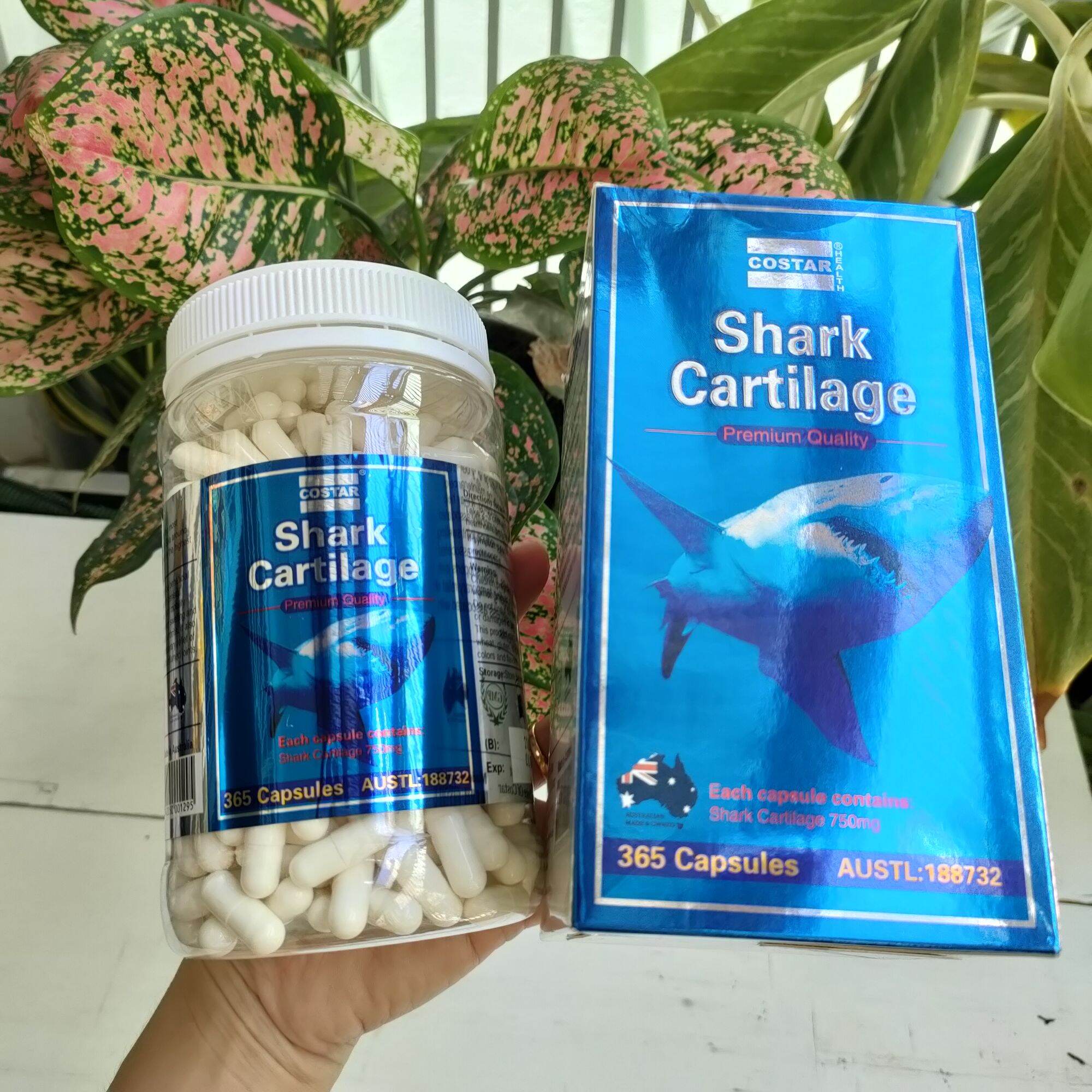 Sụn Vi Cá Mập Costar Shark Cartilage 365 Viên - Mỹ