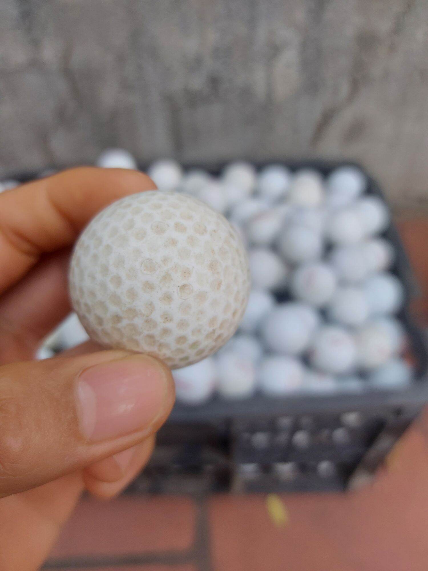 bóng golf cũ (combo 5 quả)