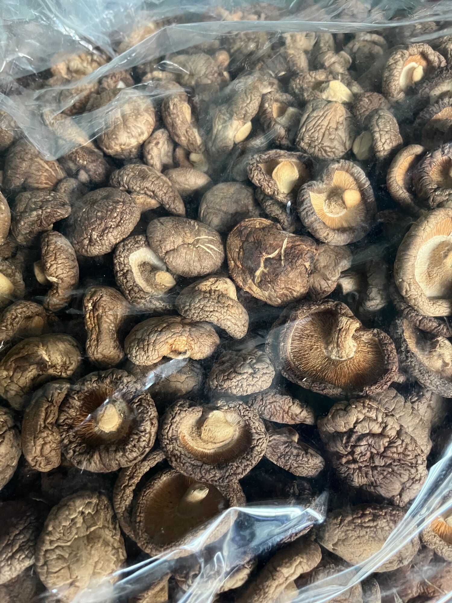 NẤM ĐÔNG CÔ SẤY KHÔ 100 gram ~ 500 gram