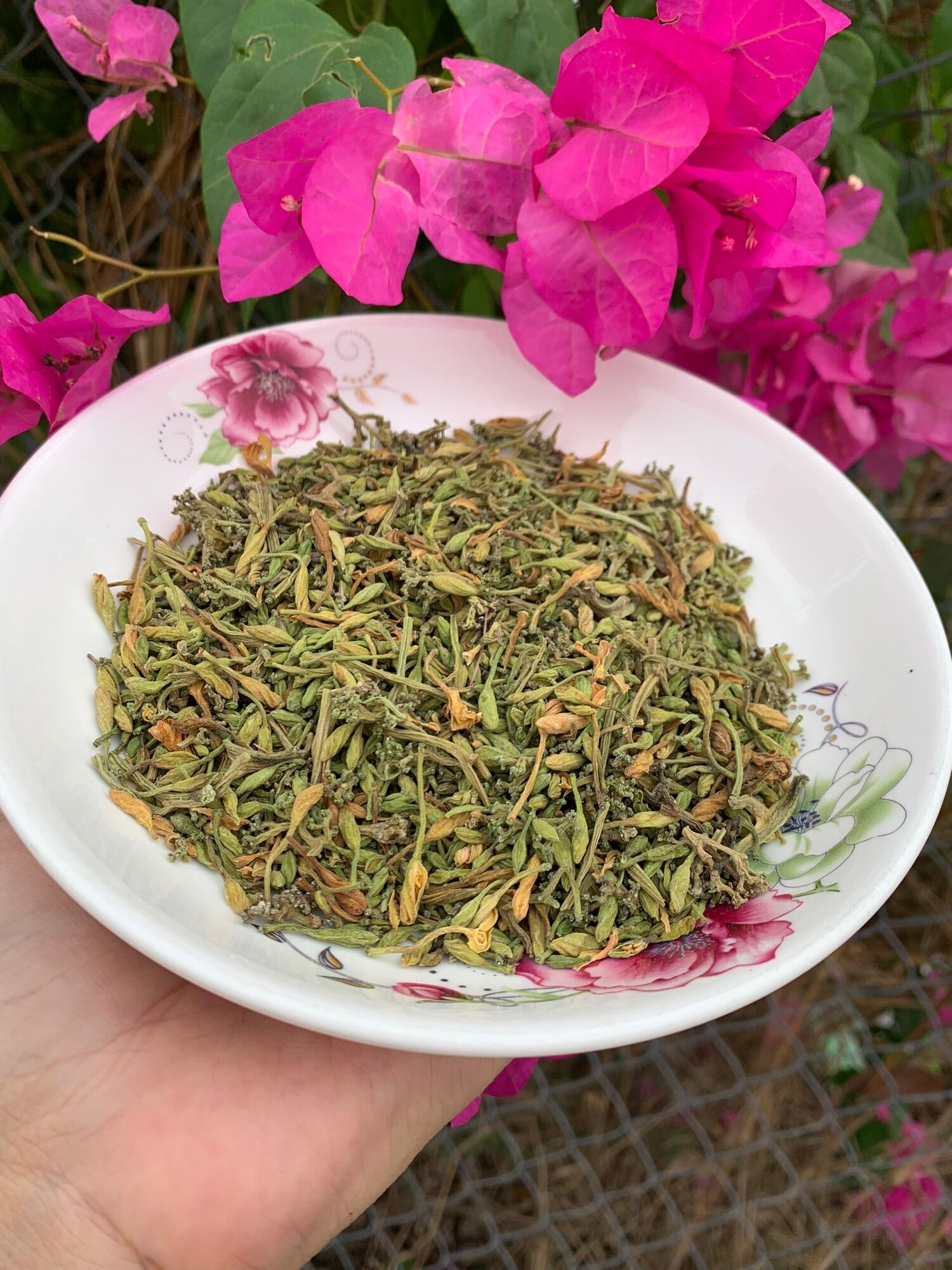 Hoa đu đủ sấy khô 100g-500g-1kg