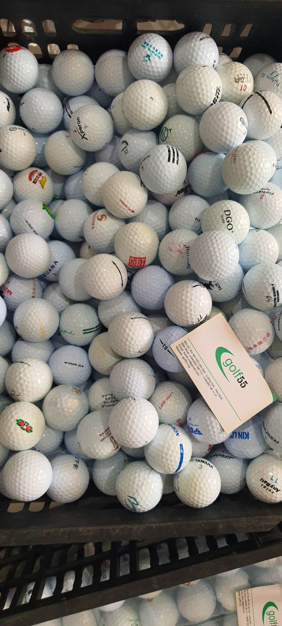 10 bóng golf tổng Hợp 80% 90%