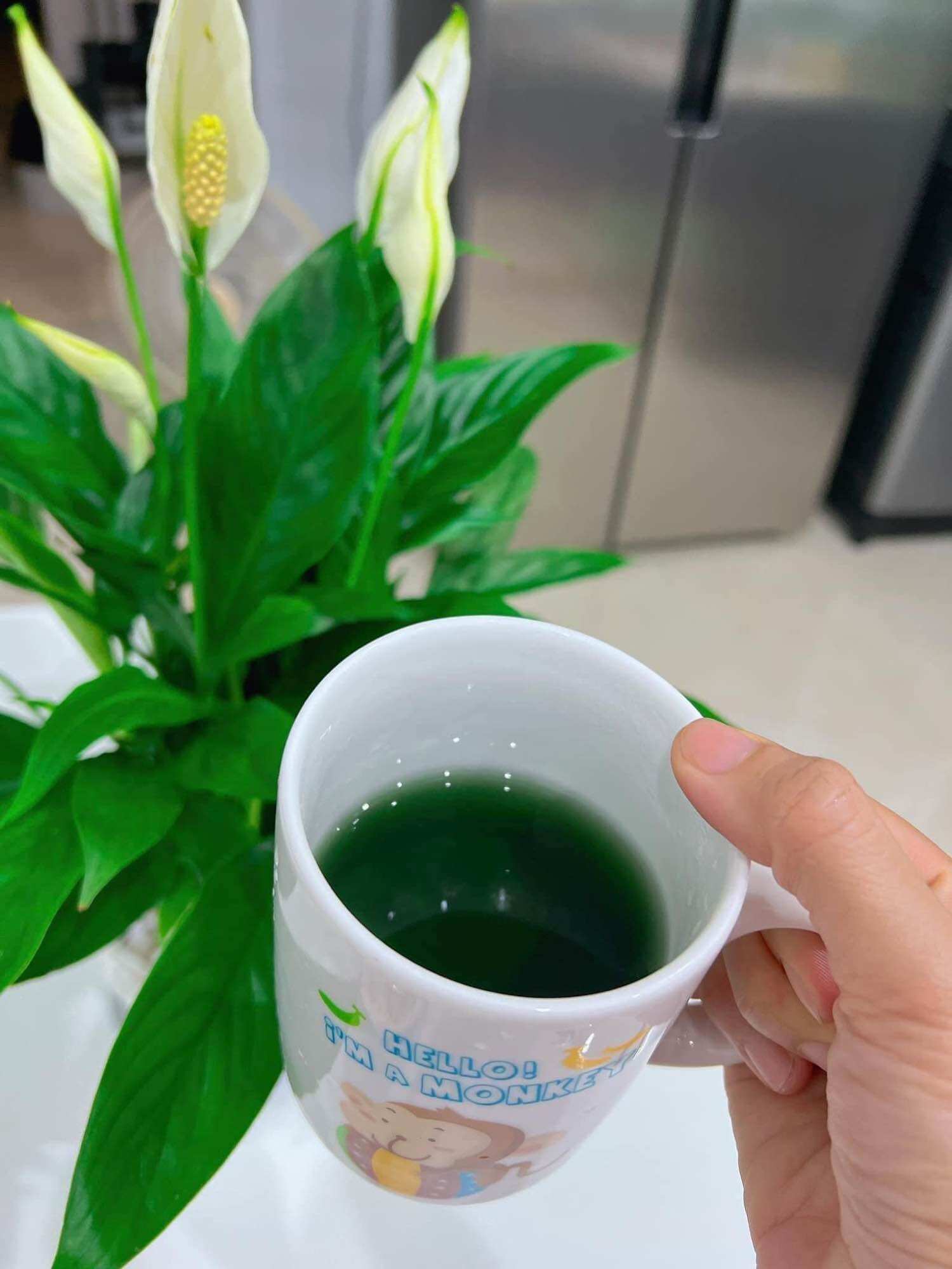 🌳🌳🌳Diệp lục TH Health - Cho mùa hè thanh mát