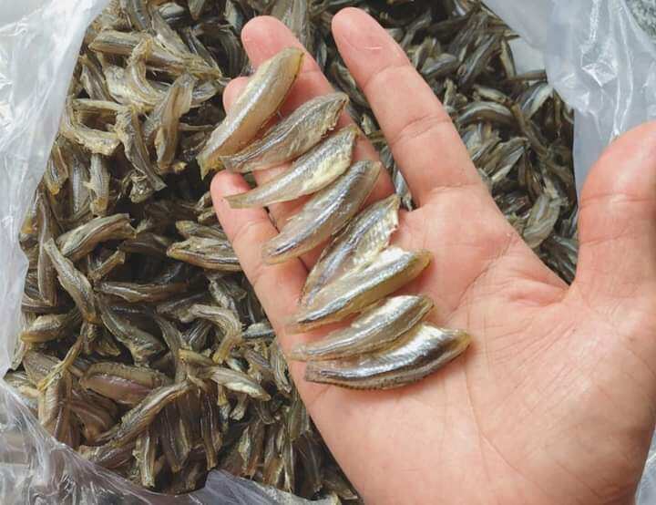500g khô cá lòng tong