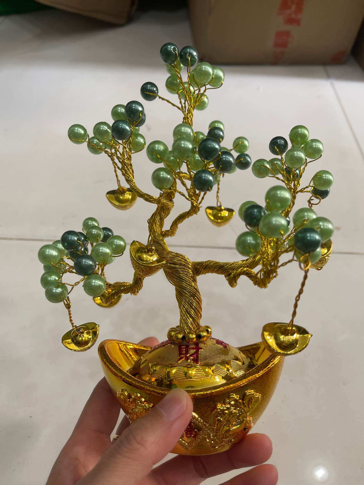 Cây kim tiền mini cao 16cm