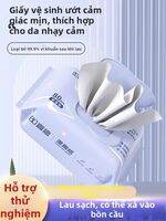 Flushable Wet Toilet Paper for Private Parts Women Pregnancy Friendly 5 Packs
