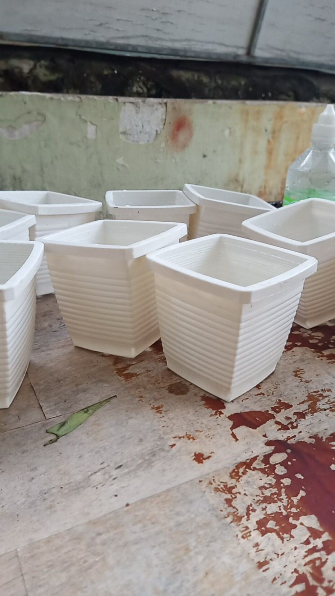 Chậu Nhựa Vuông 9x9cm