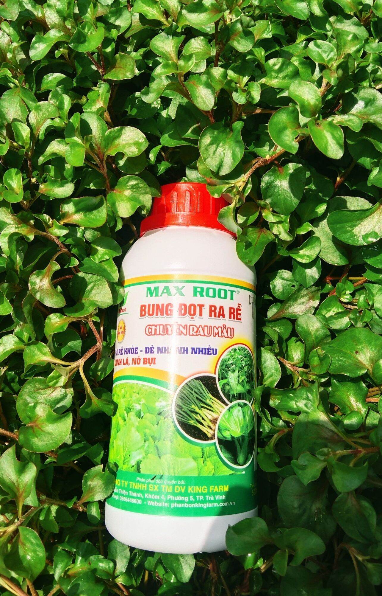 MAX ROOT - BUNG ĐỌT RA RỄ CHUYÊN RAU MÀU - CHAI 500ML