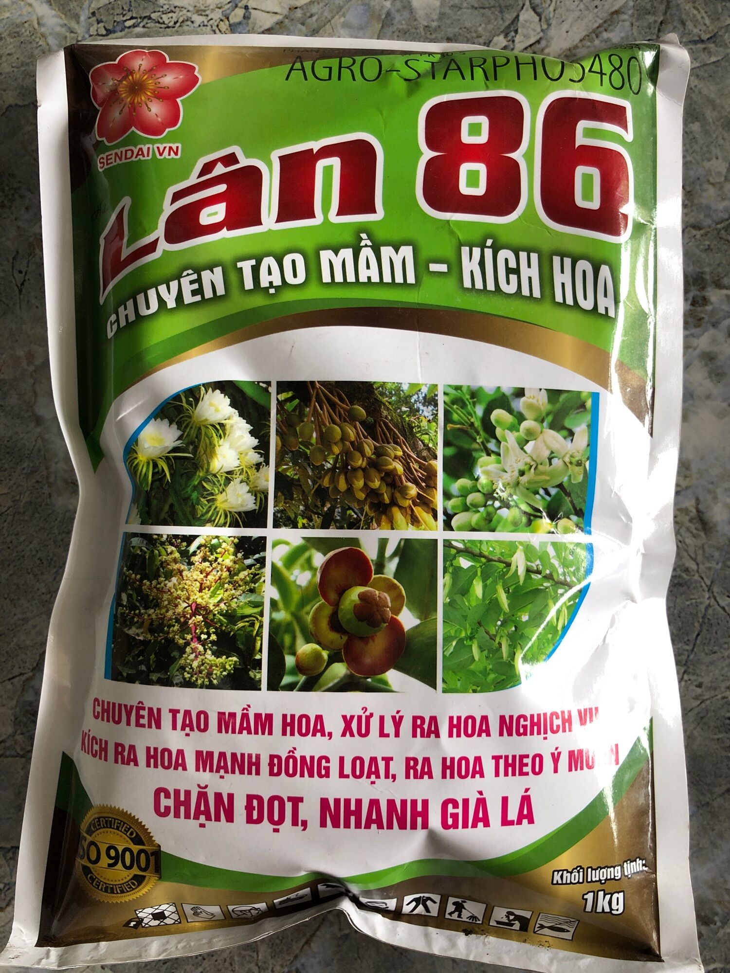 Lân 86 Chuyên tạo mầm hoa- kích hoa