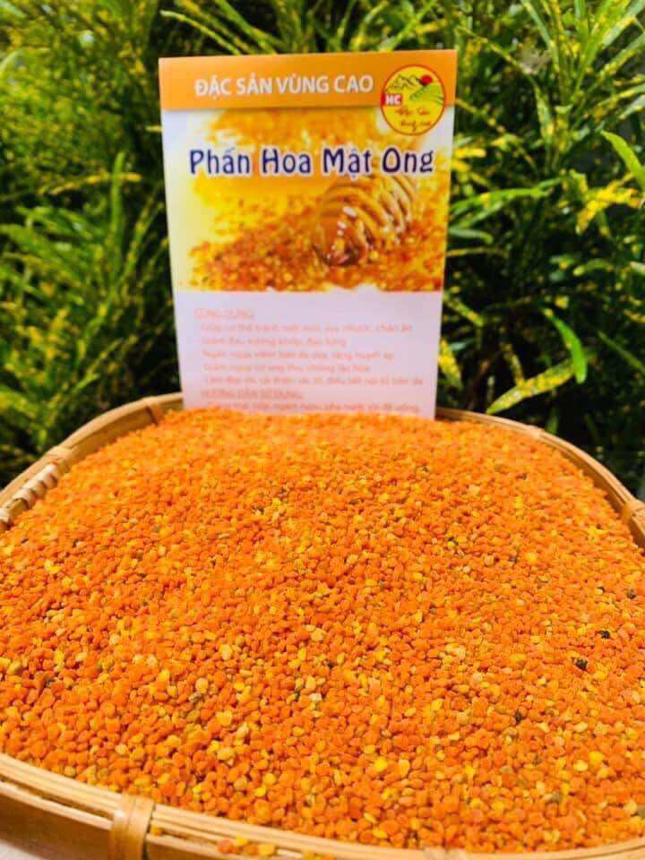 PHẤN HOA MẬT ONG RỪNG cực kì hiếm