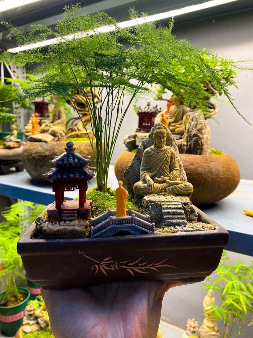 combo 10 chậu gốm nâu cafe bonsai