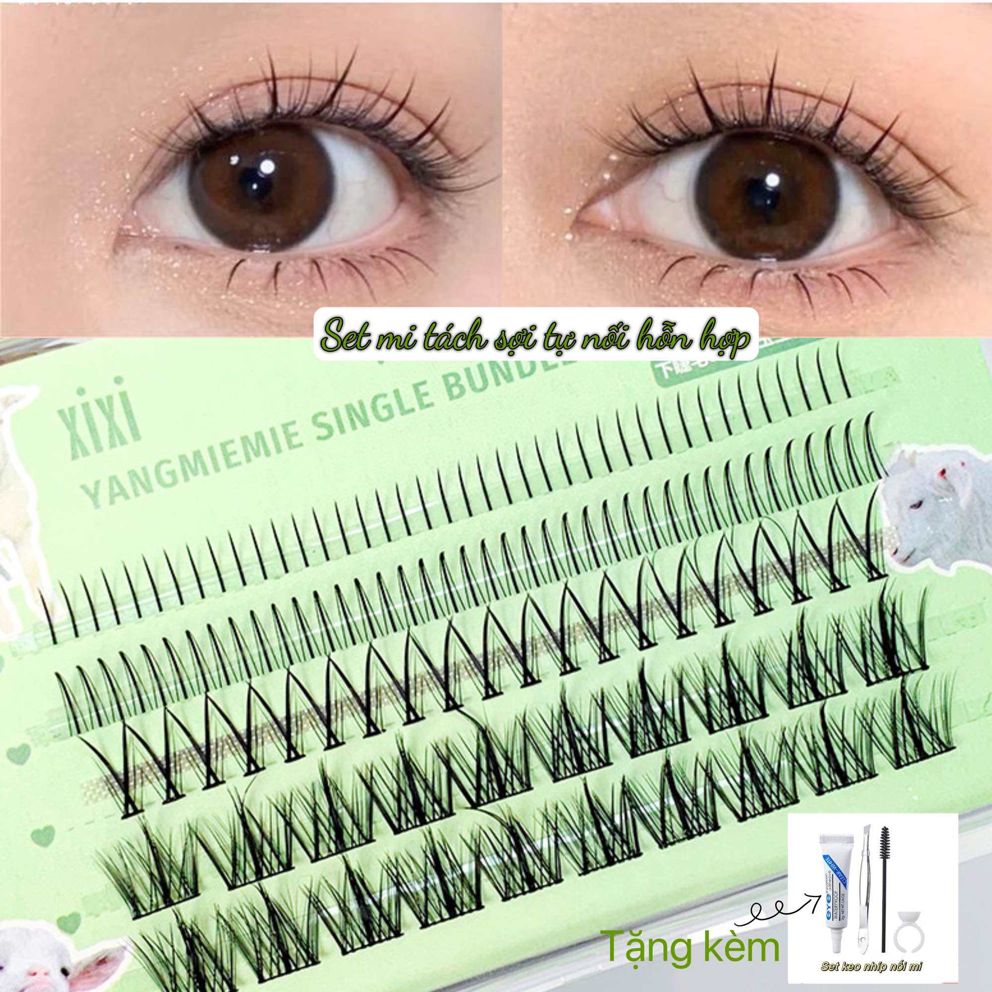 Mi Giả Tách Sợi Chùm Tự Nối Xixi xanh lá bộ hỗn hợp mi trên và mi dưới tặng kèm keo và nhíp