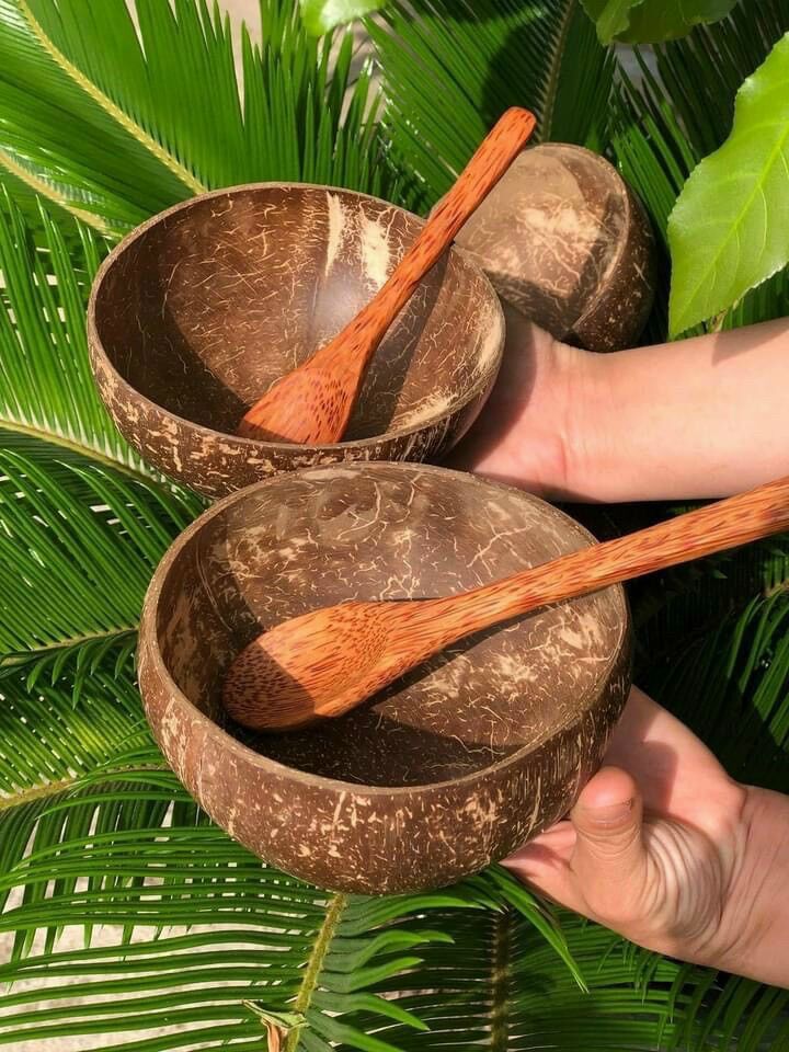 Bộ gáo dừa trộn kem, trộn tắm trắng