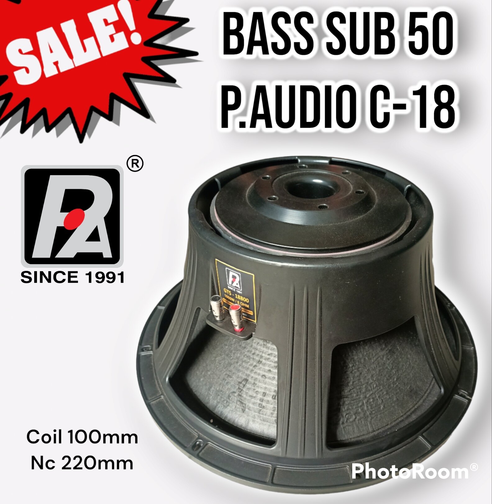 1200 Watt P Audio 1000 Watt Bass Speaker Price P Audio C18 1000 V2