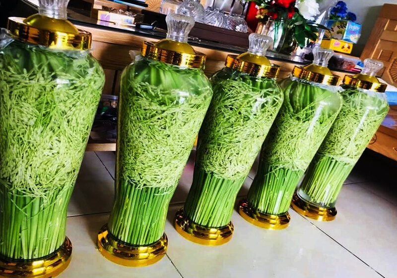 1 lít rựu đòng đòng tây bắc ngâm 2 năm tuổi - nguyên chất nhà làm