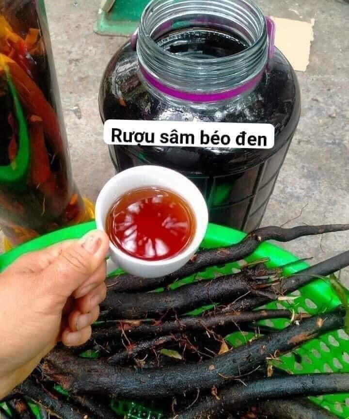 Sâm béo đen 250k/2kg