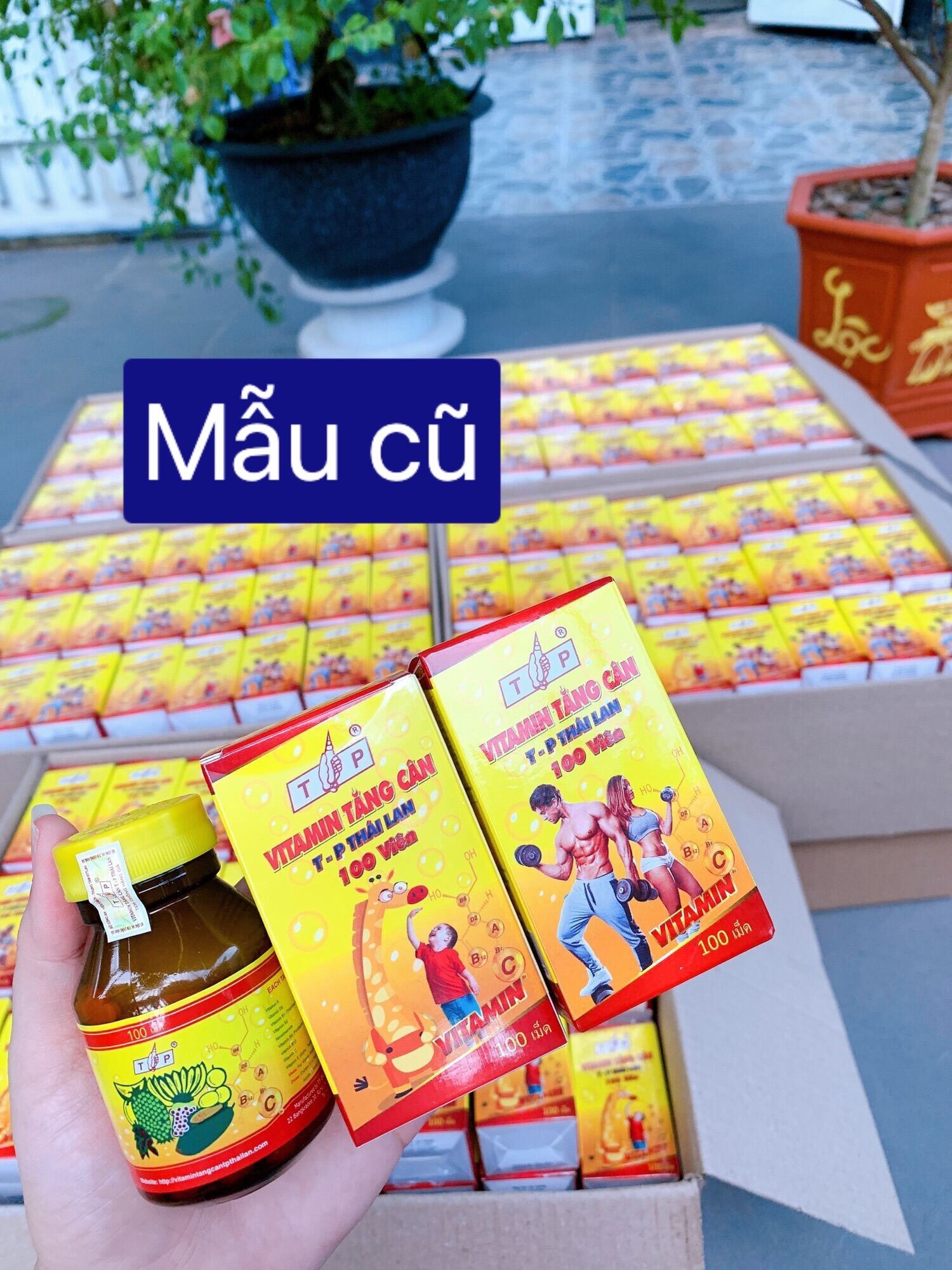 Vitamin Tăng Cân TP Thái Lan( mẫu cũ)