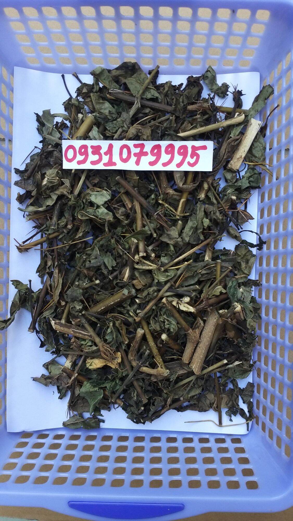 Cây kim vàng phơi khô 1kg