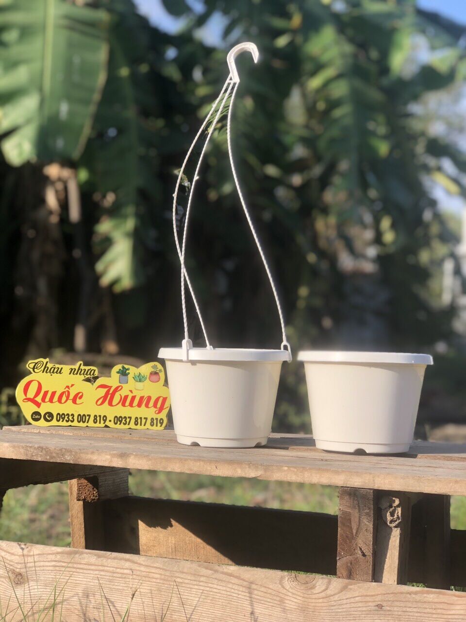 Combo 10 chậu treo trắng size 15