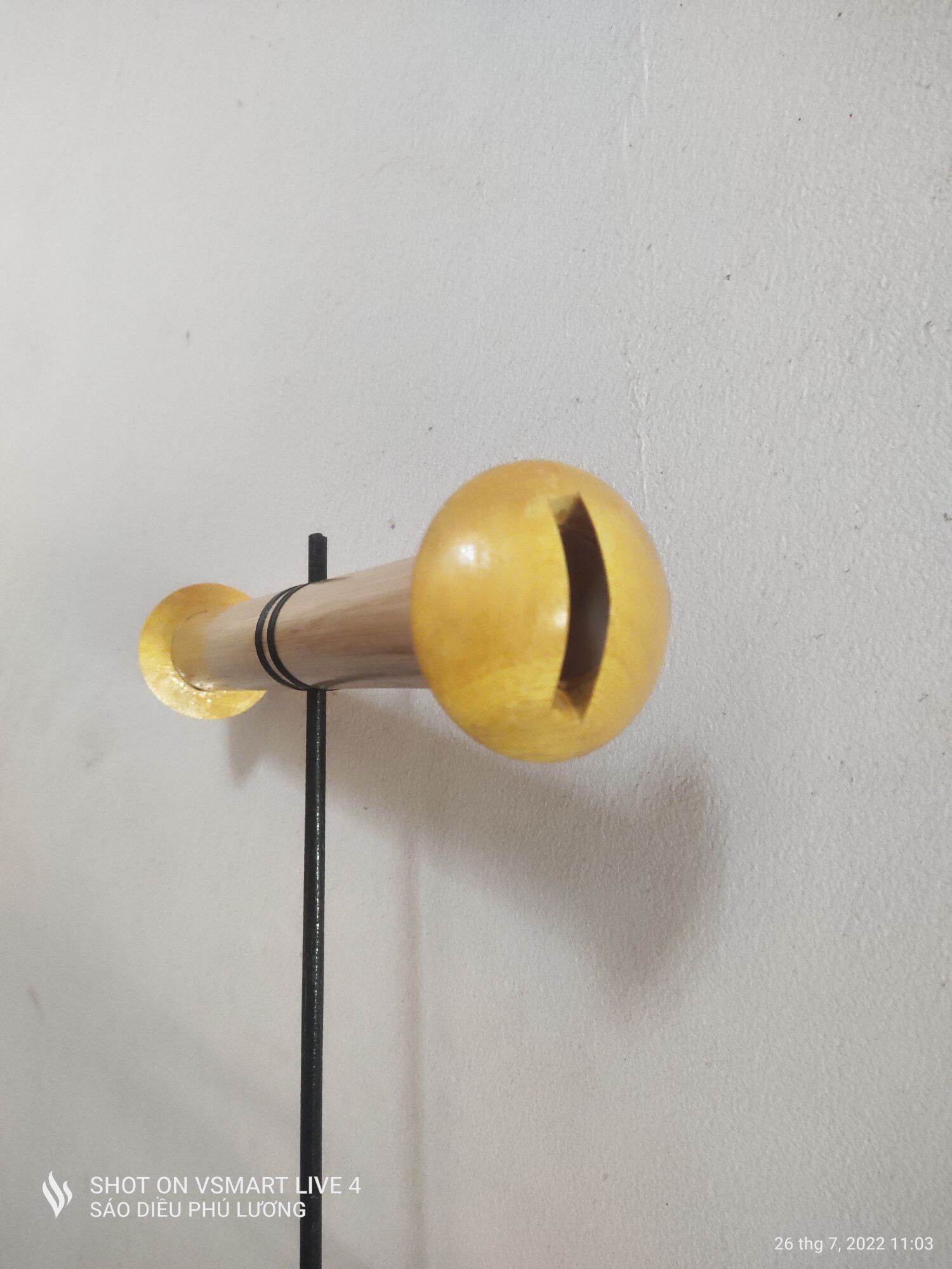 sáo diều  d50 hàng nét âm chuẩn.