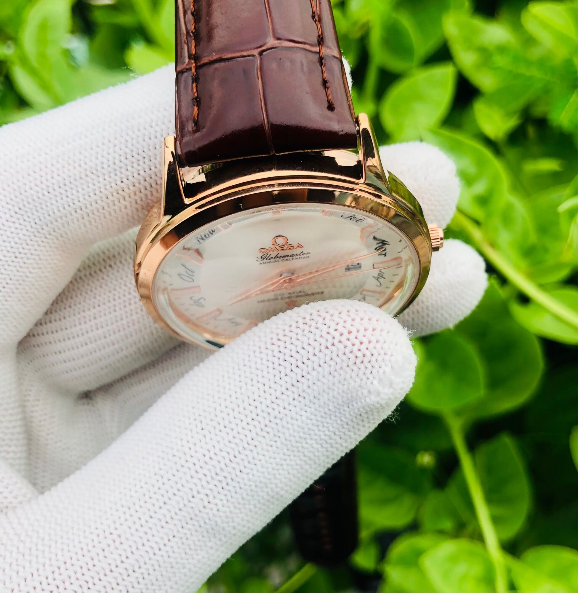 Omega Contelesion