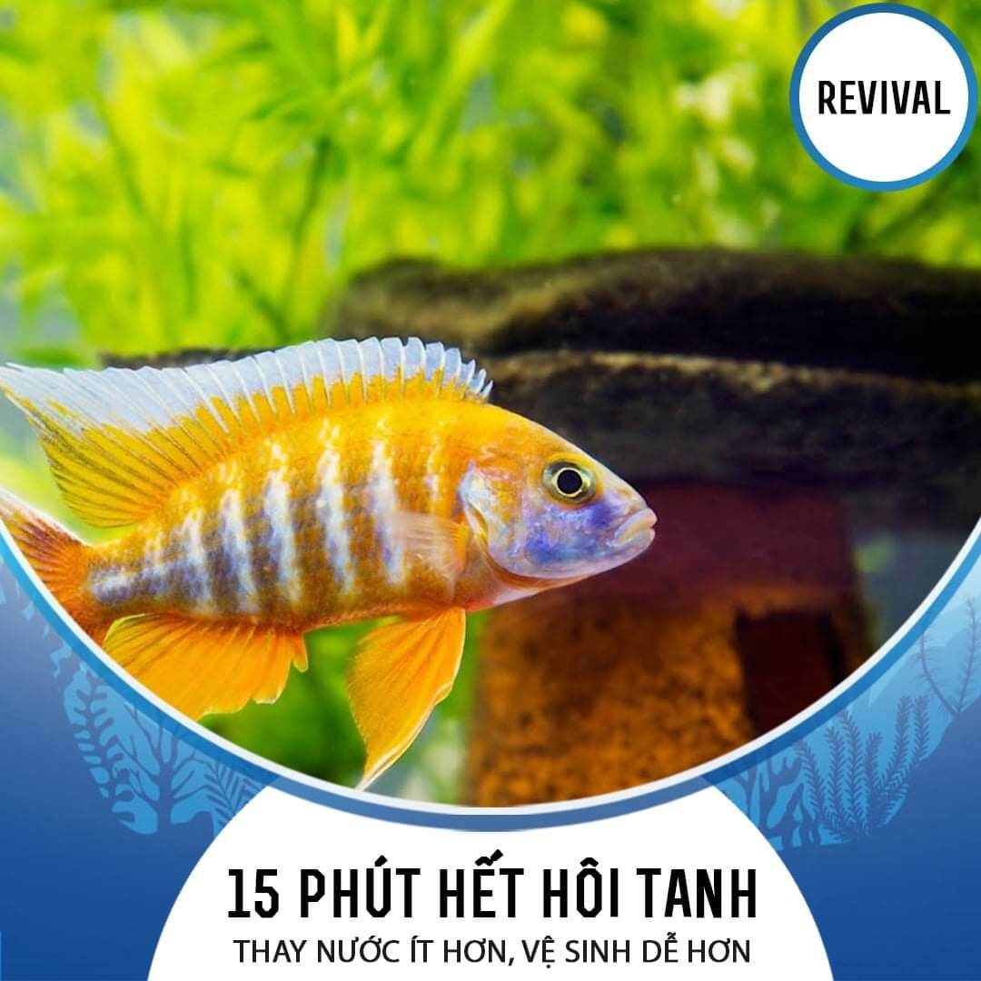 REVIVAL  xử lý nước hồ cá