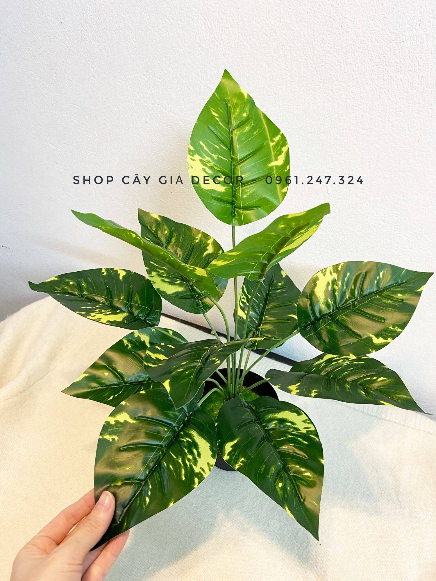 Cây giả - trầu bà lá đốm 30/40cm