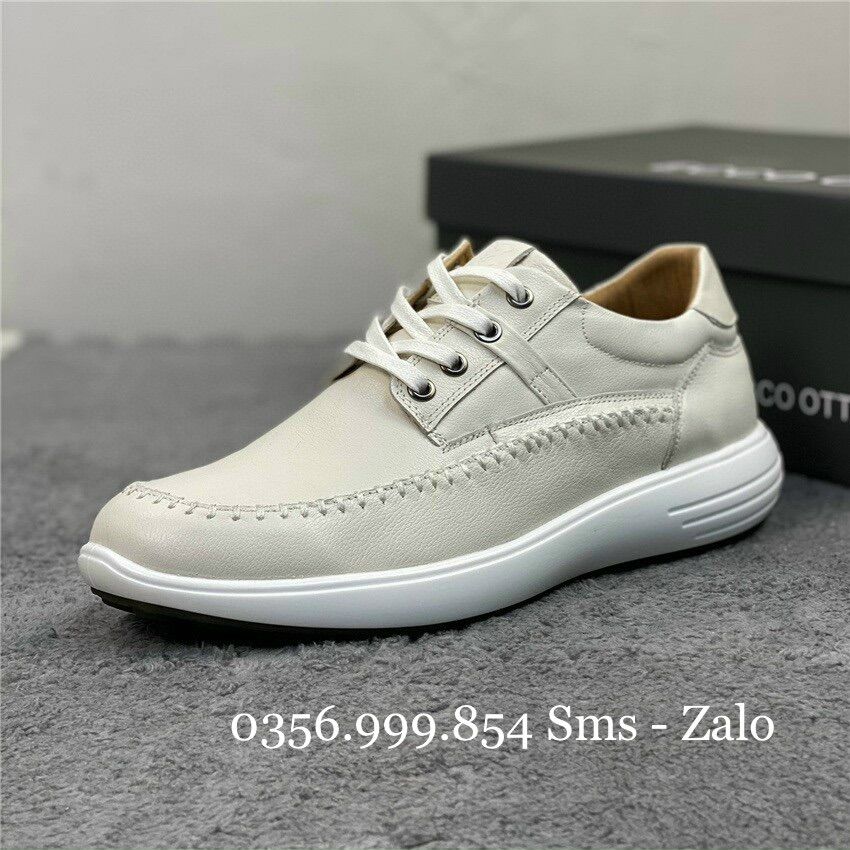 Giày tập golf Ecco dây buộc