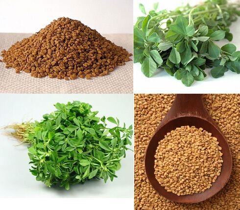 Fenugreek Seeds - Hạt Cỏ Cà Ri 1kg