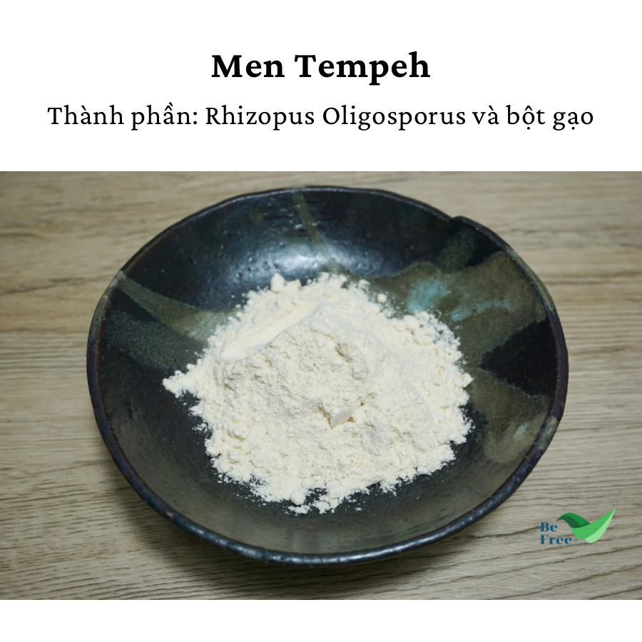 Men Tempeh (Tempeh starter) 50gr