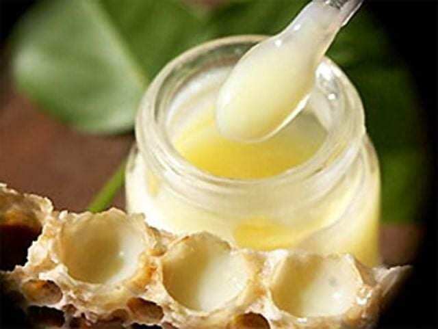 SỮA ONG CHÚA TƯƠI NGUYÊN CHẤT 100% (LỌ 100GR)