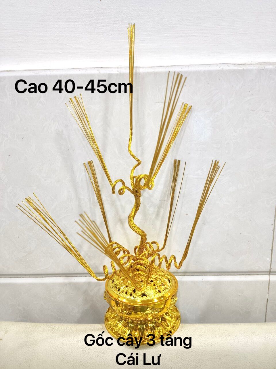 Gốc cây kim tiền( thỏi vàng +gốc)