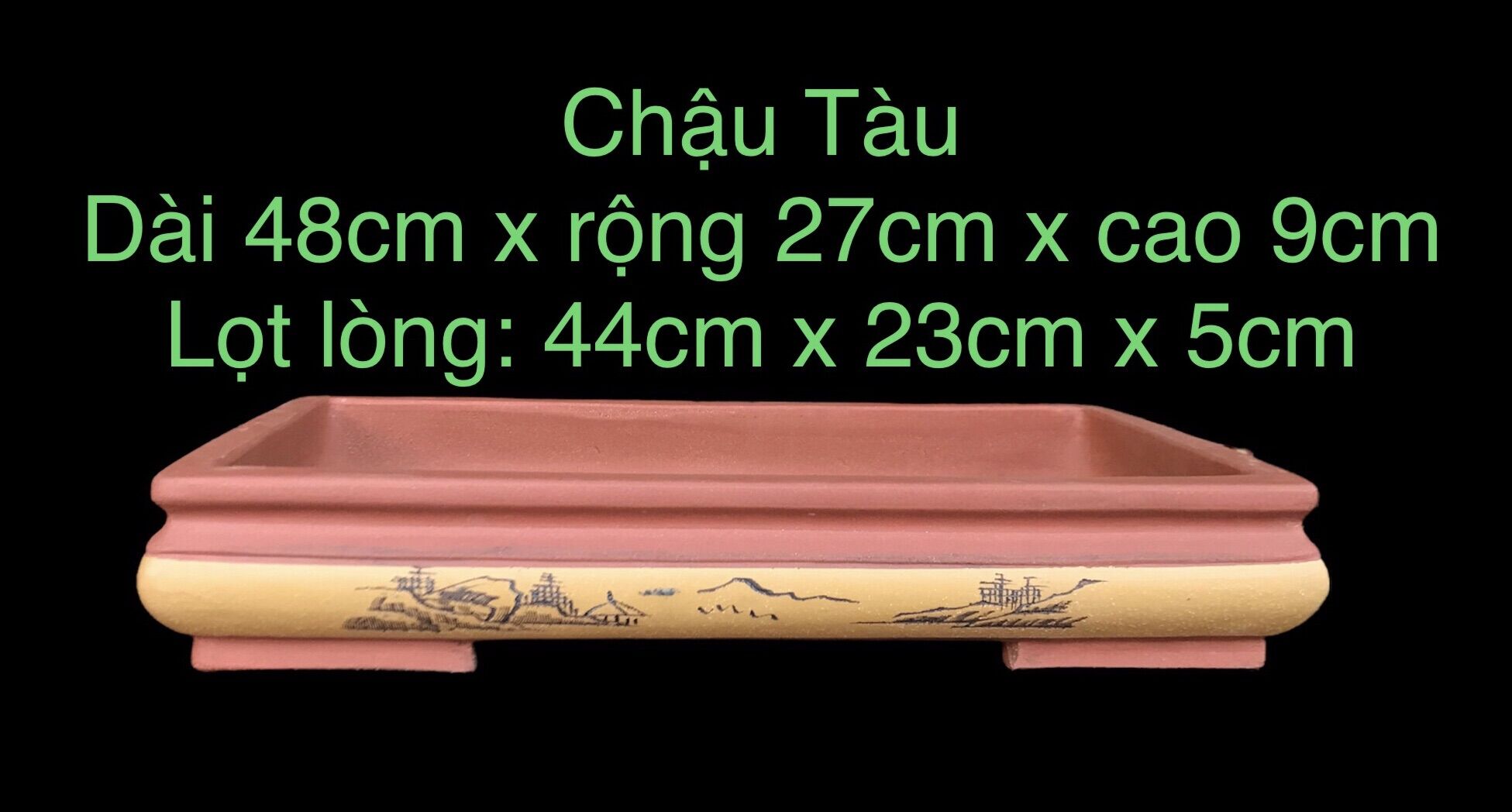 Chậu Tàu chữ nhật cạn